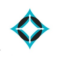 DiamondStream Partners logo - Similar company to Nicklpay