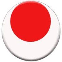 Japan Karate Association logo - Similar company to Karate Combat
