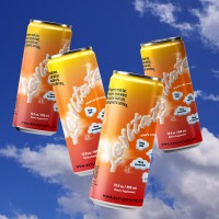 Levitate logo - Similar company to American Fiber Company