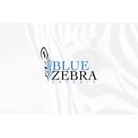 Blue Zebra Safaris logo - Similar company to Rera Partners