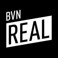 BVN REAL logo - Similar company to Virtual Ideas