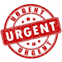 Urgent Hiring Requirement logo - Similar company to Daily Requirement (C2C And W2)