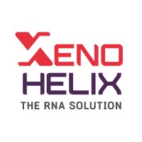 Xenohelix 제노헬릭스 logo - Similar company to Amyloid Solution Inc.