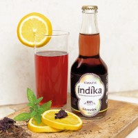 Kombutxa Índika logo - Similar company to Filantroinversion
