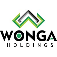 WONGA HOLDINGS (PTY) LTD logo - Similar company to Daex Solutions (Pty) Ltd