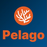 Pelago logo - Similar company to Odaseva
