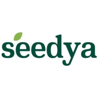 Seedya FT logo - Similar company to 249 Avenue