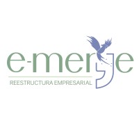 e-merge mx logo - Similar company to Teorema.Plus
