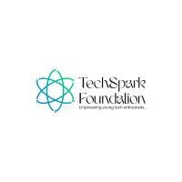 TechSpark Foundation logo - Similar company to Mentormatics