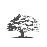 Tree Consulting