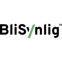 Bli Synlig AS logo - Similar company to Predictify Consulting