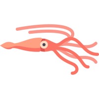 Squid logo - Similar company to Squid