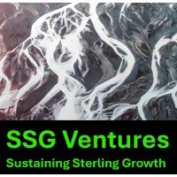 SSG Ventures logo - Similar company to Datamatters Gmbh