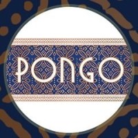 Pongo Lifestyle logo - Similar company to Instaraise