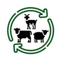 ANIMOB logo - Similar company to Lispolis