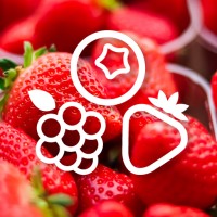 Agronom Berries Group logo - Similar company to Berries Pride