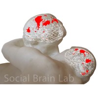 The Social Brain Lab logo - Similar company to Synvenio