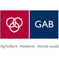 Il Progetto del Mulino logo - Similar company to Farine Etc