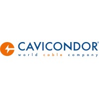 Cavicondor S.p.A. logo - Similar company to Finaria