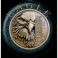 eaglesecurity logo - Similar company to Swarmint Llc