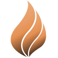 Social Entrepreneurship International logo - Similar company to Local Transit Co.