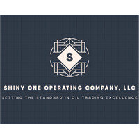 Shiny One Operating company, LLC logo - Similar company to Tn Storage Bv