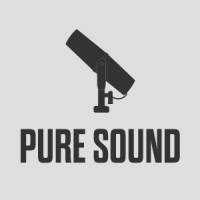 Pure Sound logo - Similar company to Aniki