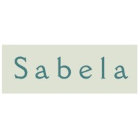 SABELA CONSULTING LTD logo - Similar company to Sabela Consulting