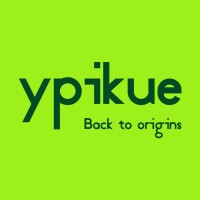 Ypikue logo - Similar company to Expansyon