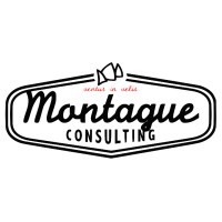 Montague Consulting logo - Similar company to Zielbio