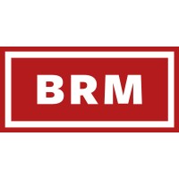 Big Red Microenterprise logo - Similar company to Steelray Software