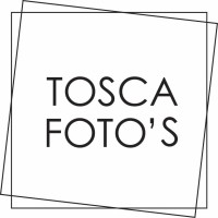 Tosca Fotos logo - Similar company to Desies
