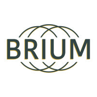 BRIUM AB logo - Similar company to Hello Clean