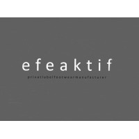 efeaktif Ayakkabı San. Tic. A.Ş logo - Similar company to De Marchi Shoes / Sebata Shoes