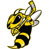 Battle Creek Rumble Bees logo - Similar company to Port Huron Prowlers