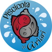 PISCICOLA DEL ARIARI logo - Similar company to Distribuidora El Amazonas