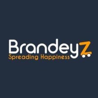 Brandeyz  Egypt logo - Similar company to Handfy