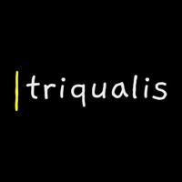 triqualis logo - Similar company to Razrabot