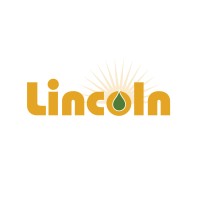 Lincoln Energy Solutions logo - Similar company to Fleming Energy
