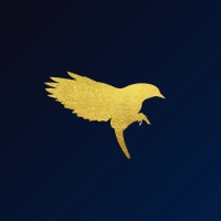 Rise Branding logo - Similar company to Neuralogic It
