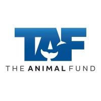 TAF -The Animal Fund logo - Similar company to Matter Global Solutions