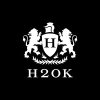 HOOK logo - Similar company to Bgrm