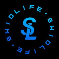 Swidlife Media logo - Similar company to 파인하랑 (Fine Pic.K)