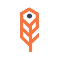 NOKfinders logo - Similar company to Repay Research