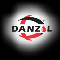 Danzol logo - Similar company to Rakhi Mehta