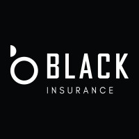 Black Insurance logo - Similar company to Black Insure