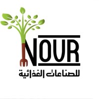 Nour For Food Industries logo - Similar company to Ora Food