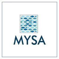 Mysa sleep logo - Similar company to Revolutionary Wellness