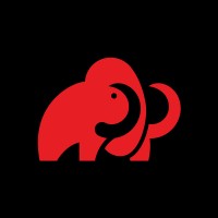 Digital Mammoth logo - Similar company to Insideout Services