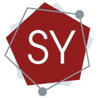 Synapses logo - Similar company to Synapsis Srl